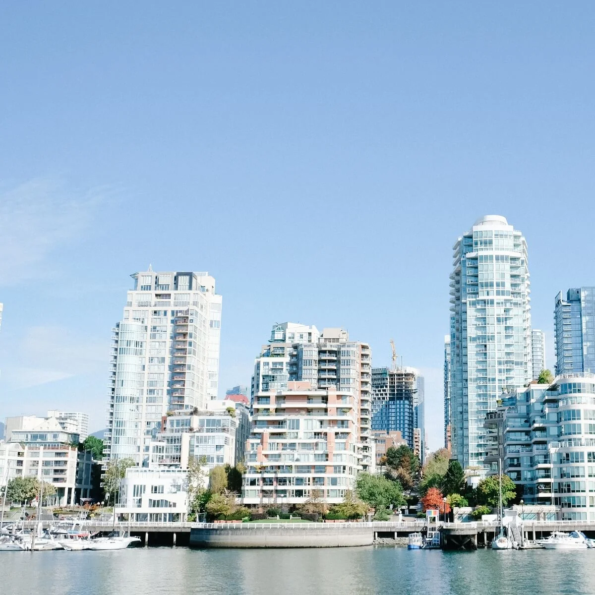 Our Affordable Web Design in Vancouver is Both Attractive and Functional for Customer Satisfaction